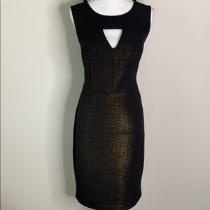 Bisou Bisou Dress 